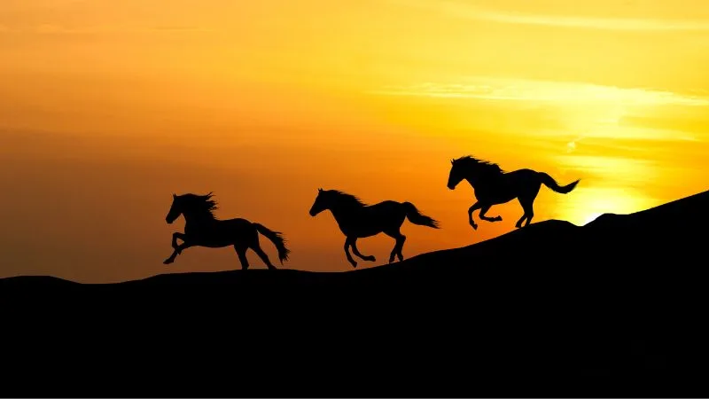 image upload 1731955726 3