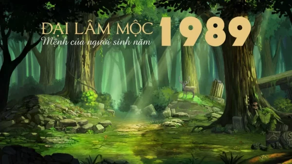 image upload 1731955902 1