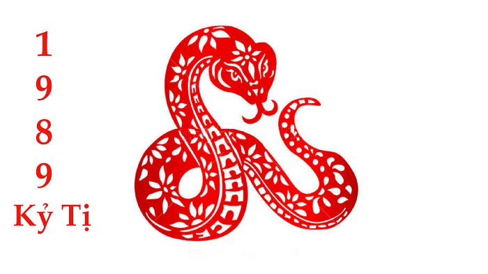 image upload 1731955920 3