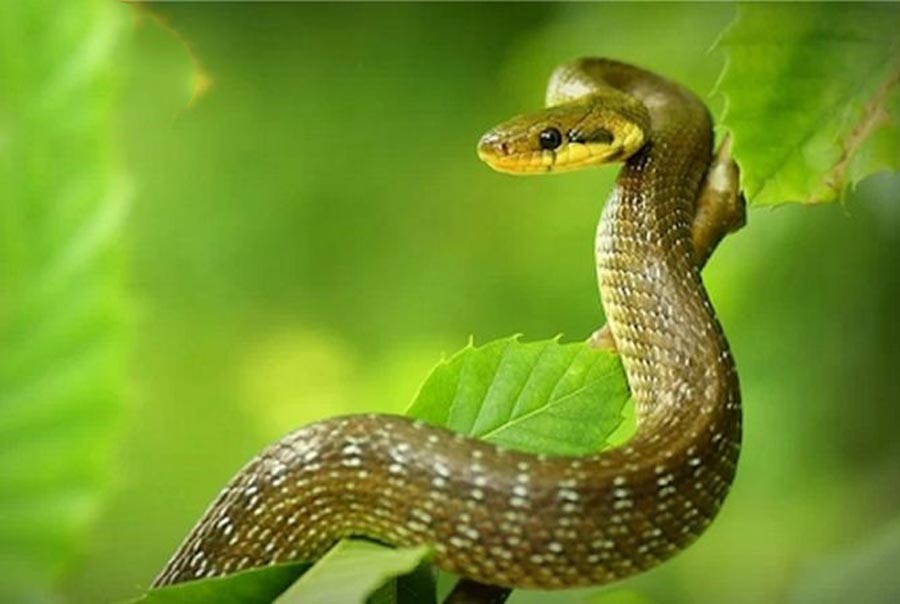 image upload 1731955933 4