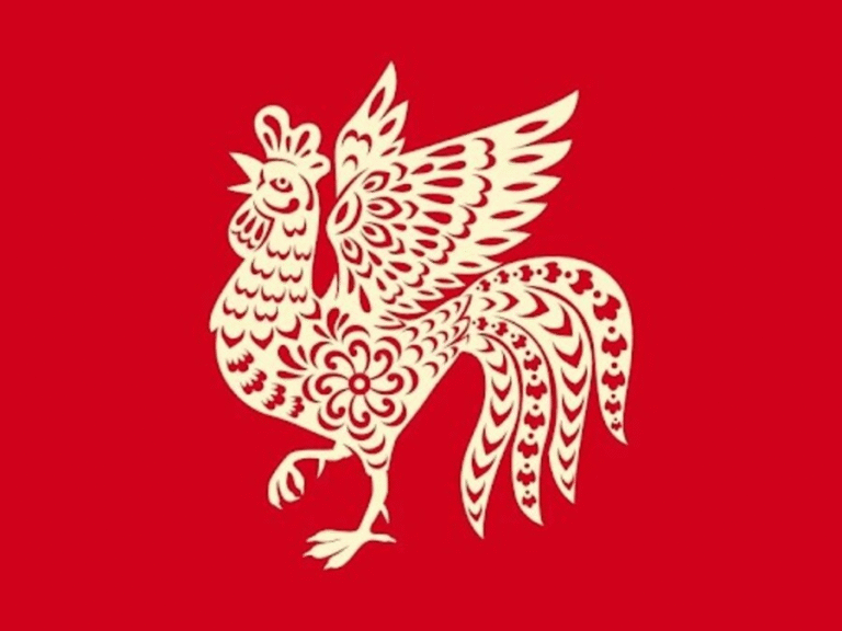 image upload 1731968943 picture1 1