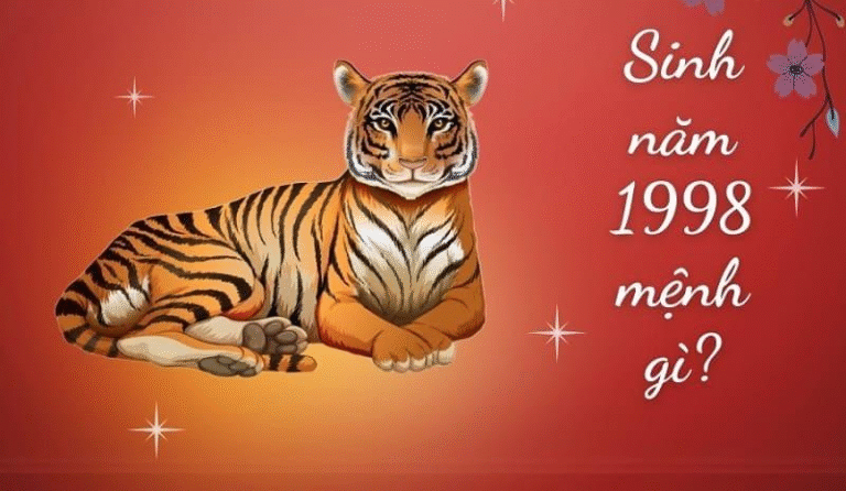 image upload 1731969533 picture1 1