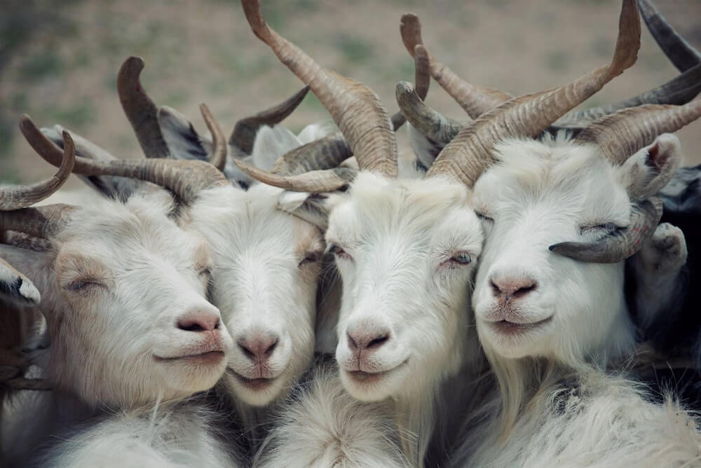 image upload 1732070322 2