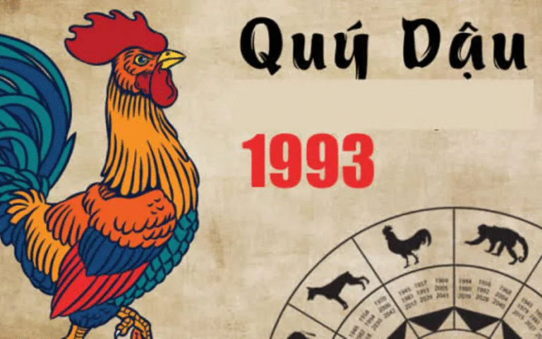 image upload 1732073178 1 1