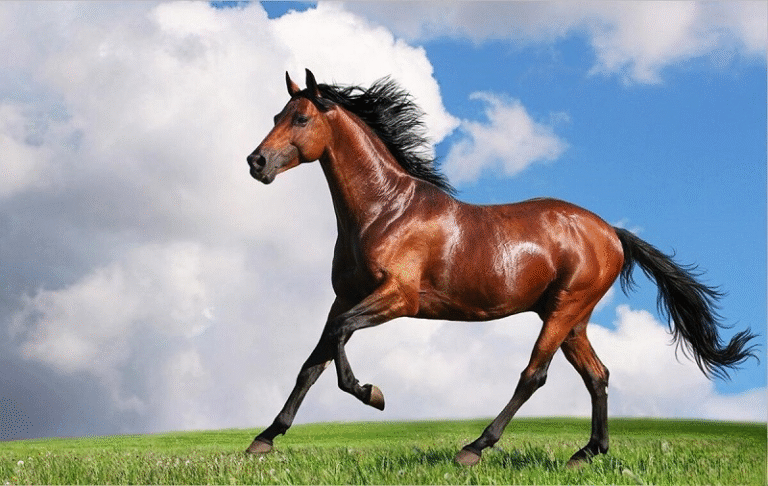 image upload 1732141376 picture1 1