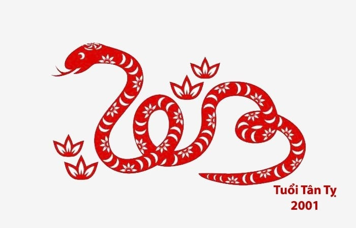 image upload 1732203227 2