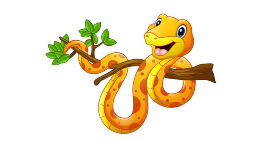 image upload 1732203255 4