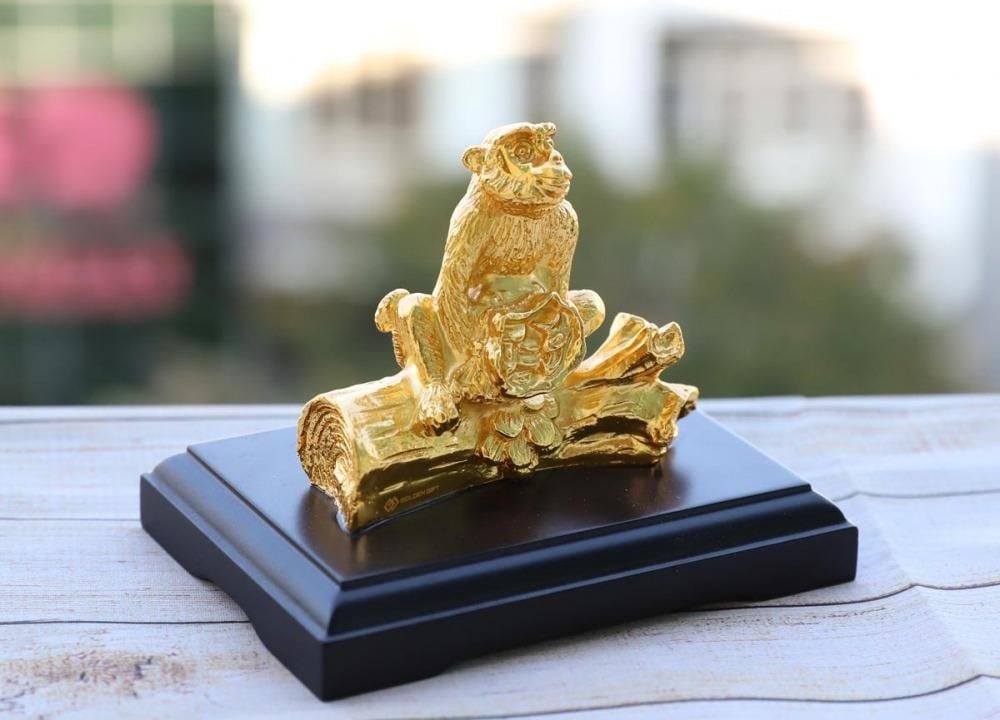 image upload 1732203744 2