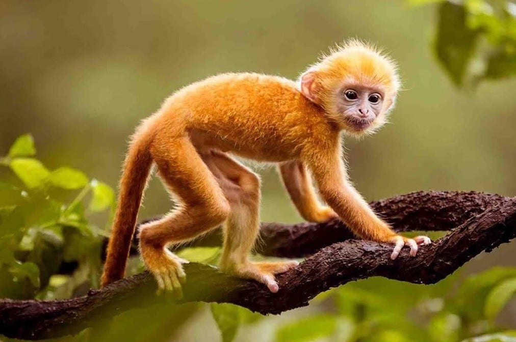 image upload 1732203753 3