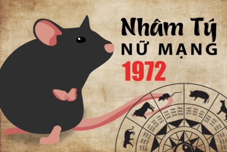 image upload 1732204157 1 1