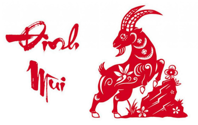 image upload 1732205777 picture2 1