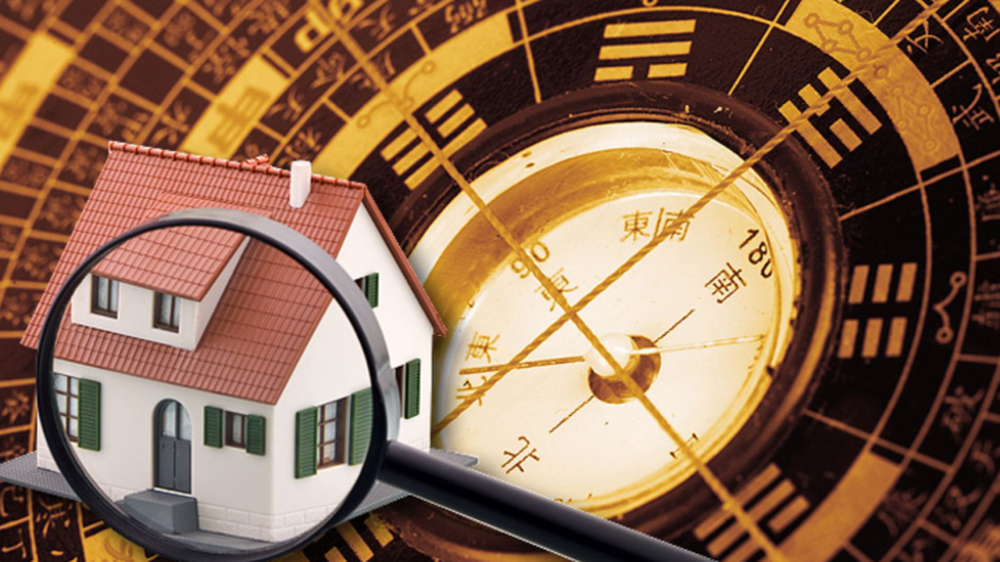 image upload 1732206236 5