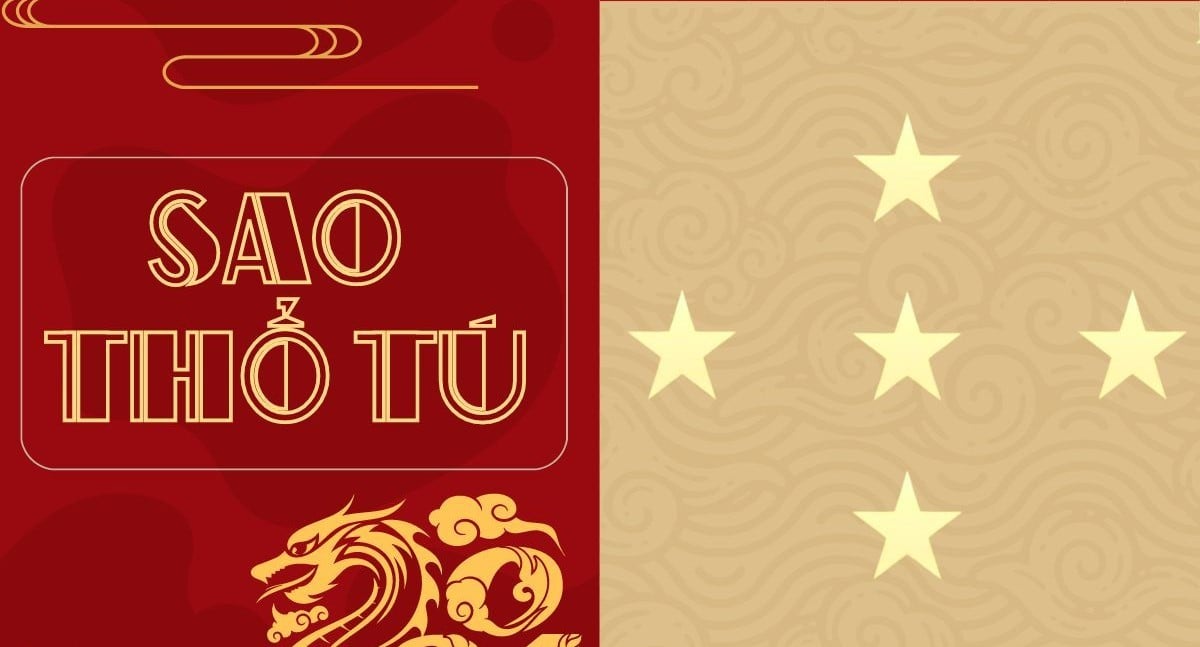 image upload 1732207476 4