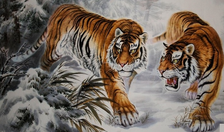 image upload 1732289963 picture1 1