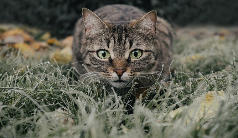 image upload 1732290733 picture1 1