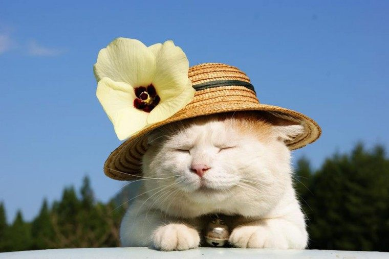 ngay-gio-dep-de-xuat-hanh-cho-tuoi-ky-mao-1999-trong-nam-2025-3