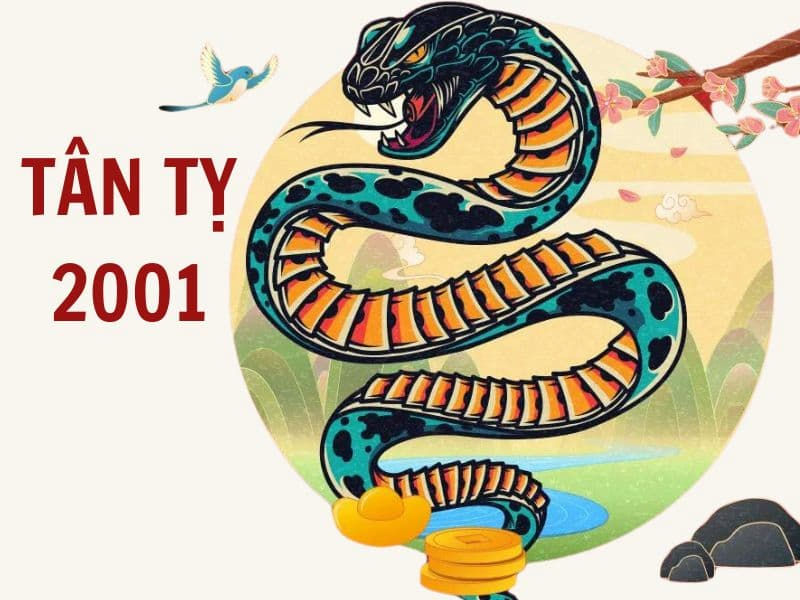 image upload 1732337958 1