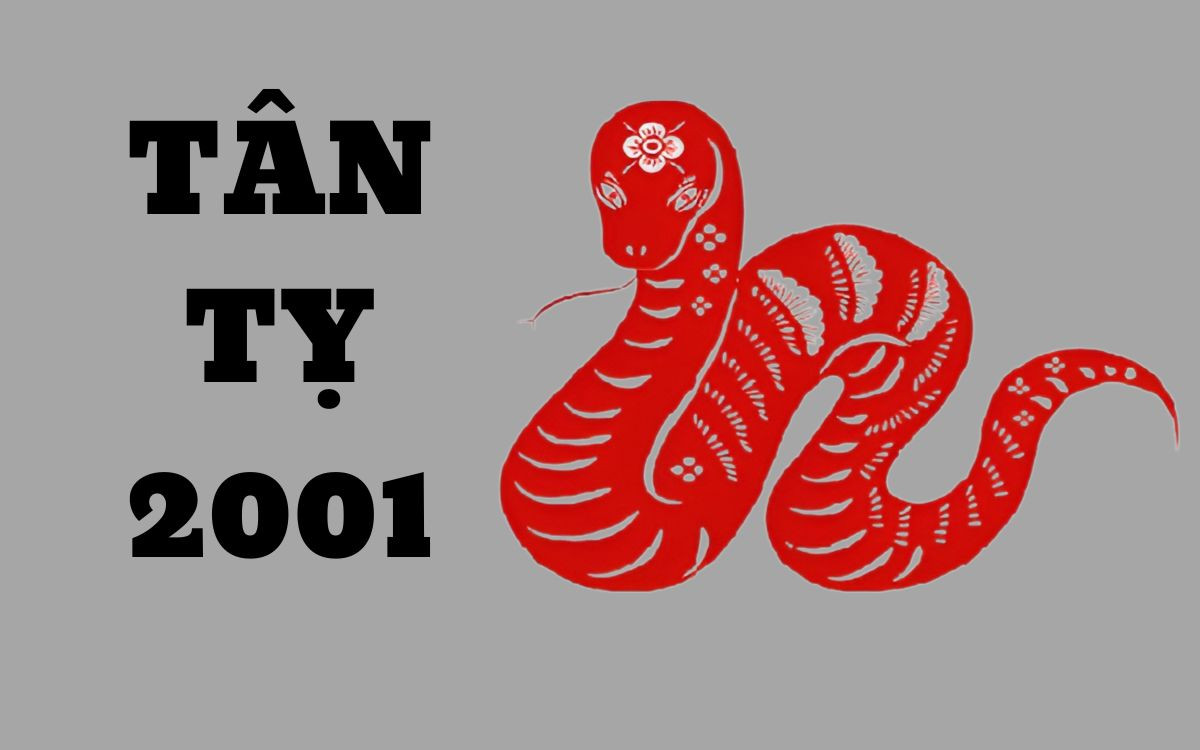 image upload 1732337986 3