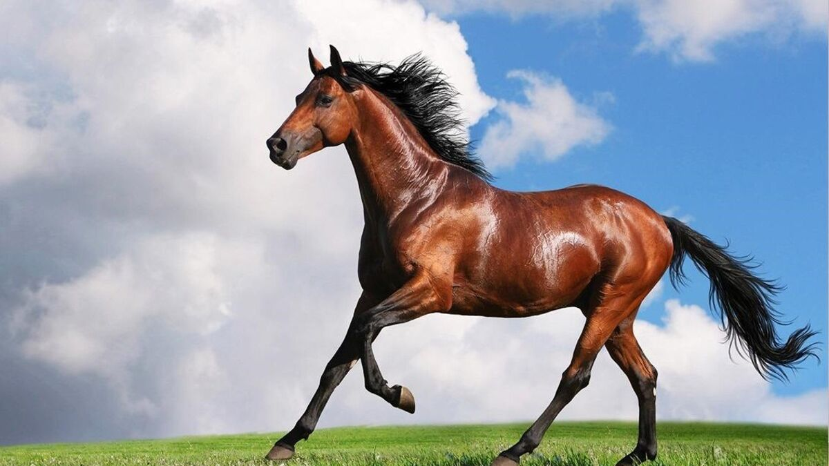 image upload 1732452167 2