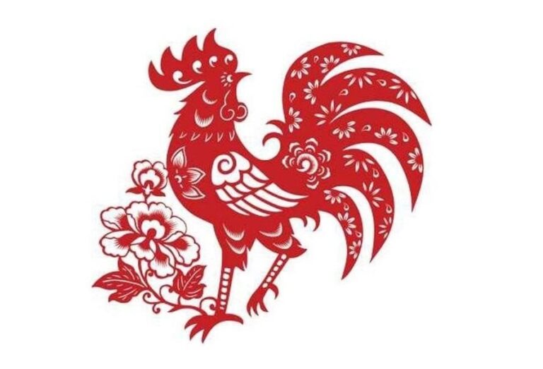 image upload 1732514403 1 1