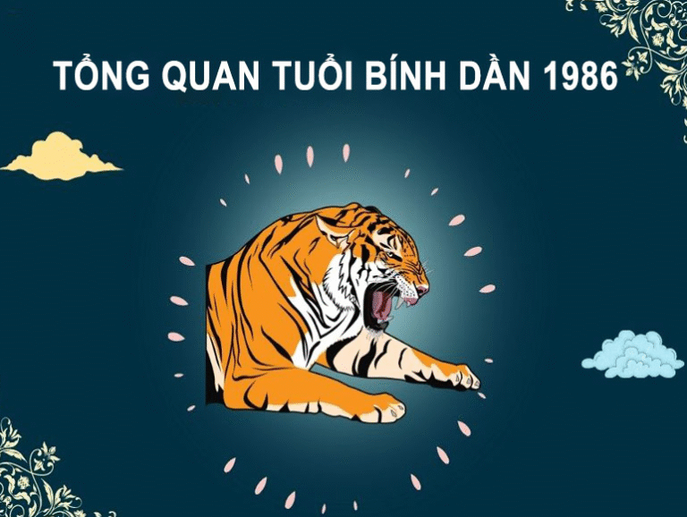 image upload 1732522476 mceclip0 1