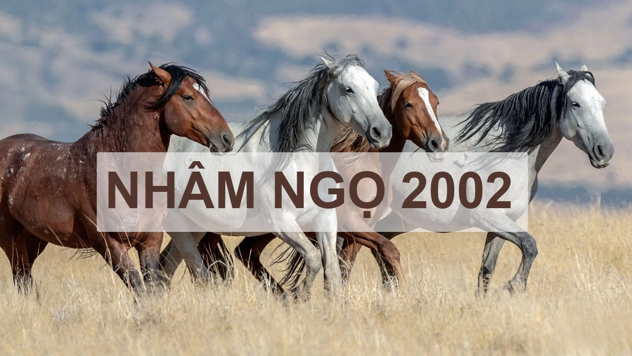 image upload 1732848549 2