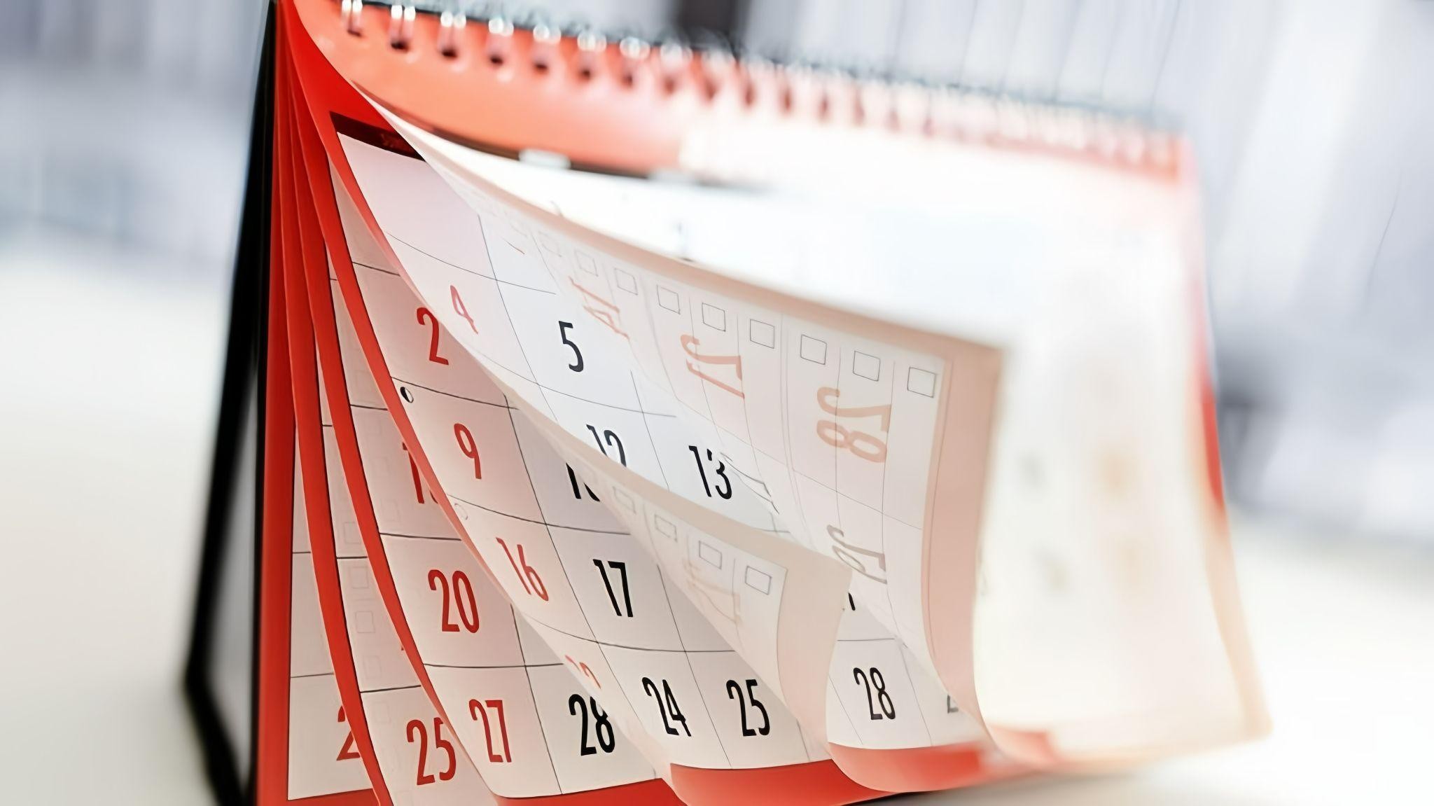 image upload 1732941178 3