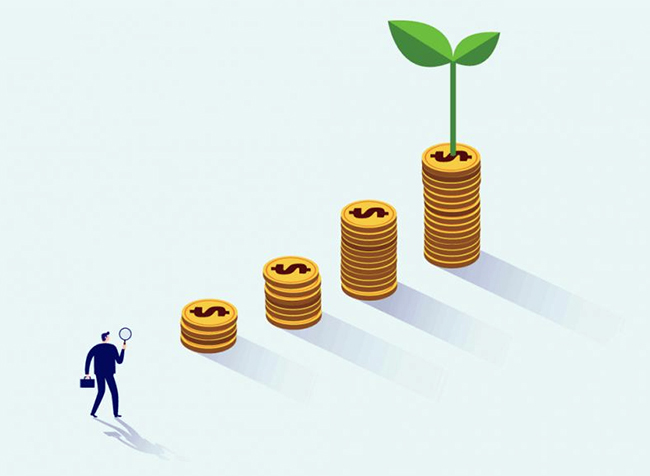 image upload 1733108392 2