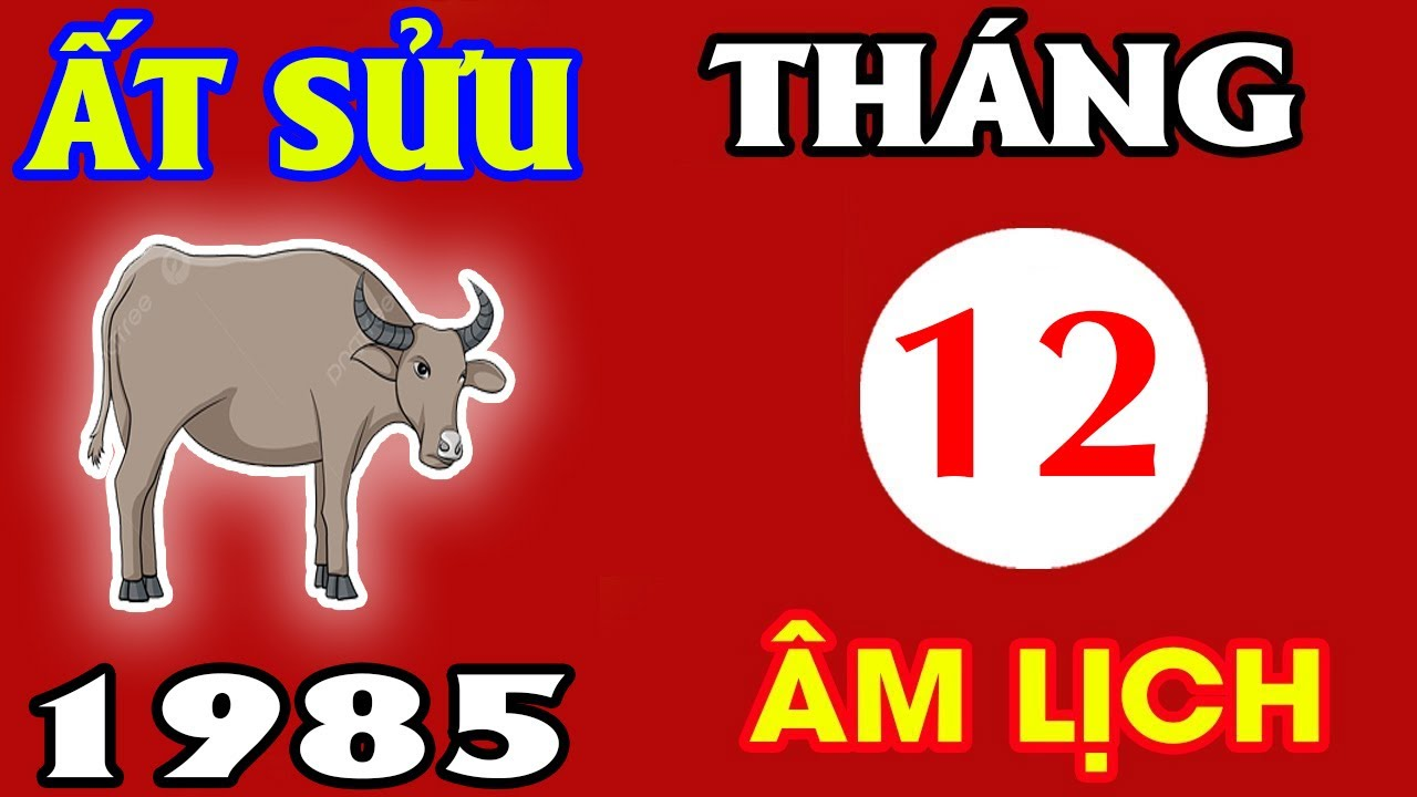 image upload 1733417547 1