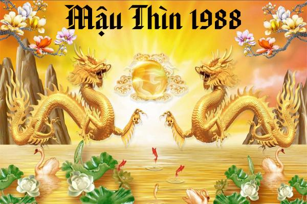 Vận trình sự nghiệp tuổi Mậu Thìn tháng 11 Âm lịch