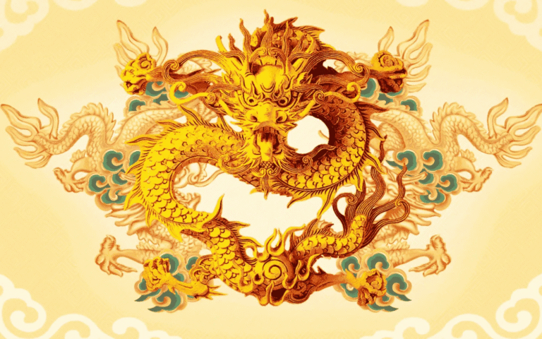 image upload 1733475793 1 1