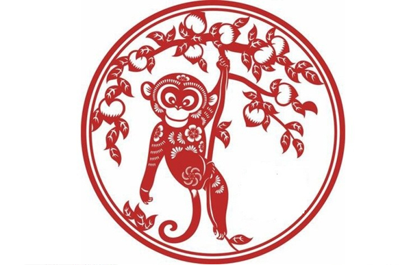 image upload 1733476607 1 1