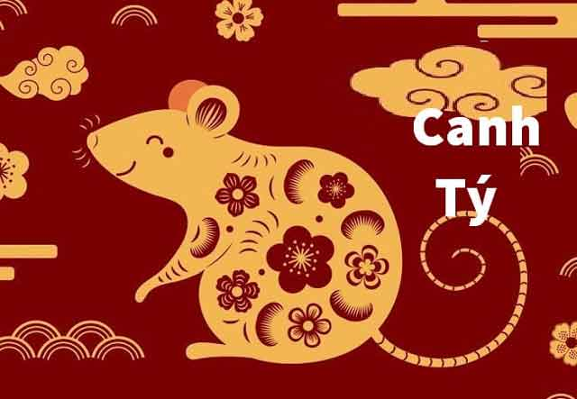 image upload 1733477002 1