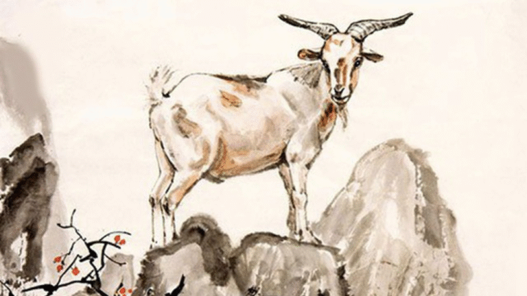 image upload 1743652874 1 1