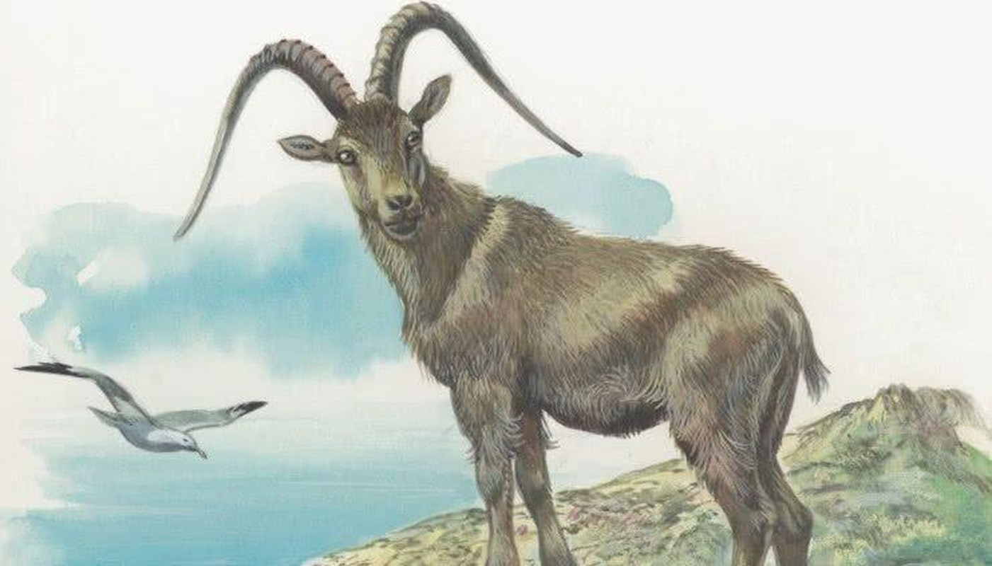 image upload 1743652934 4