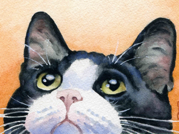 image upload 1743673853 1 1