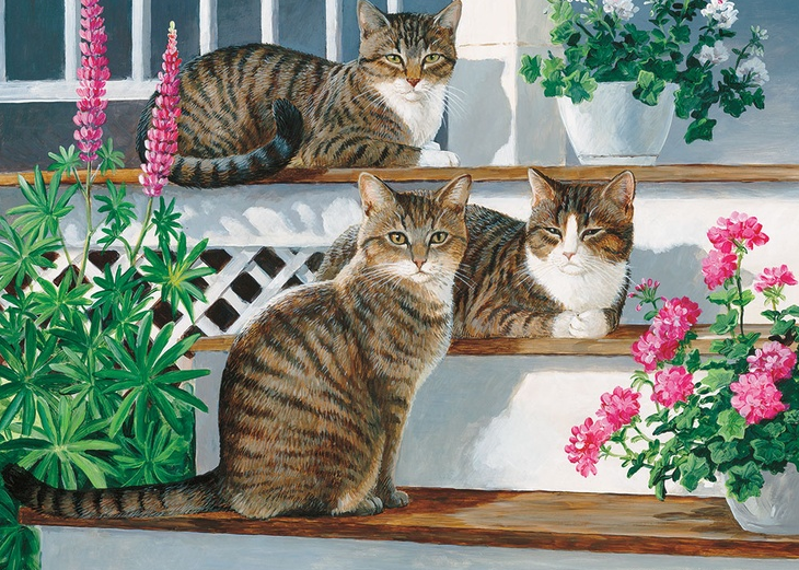 image upload 1743673919 3