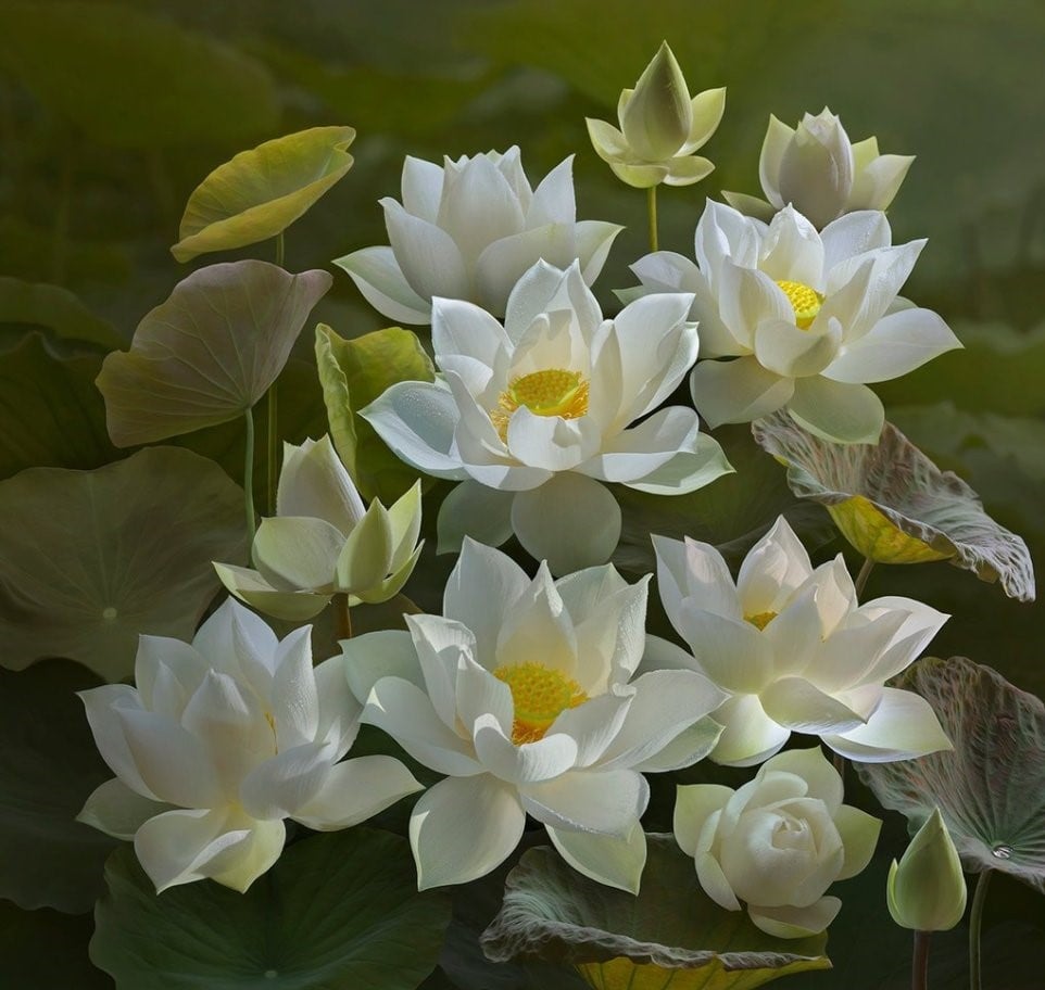 Nhận thức về vô thường giúp giải thoát khổ đau