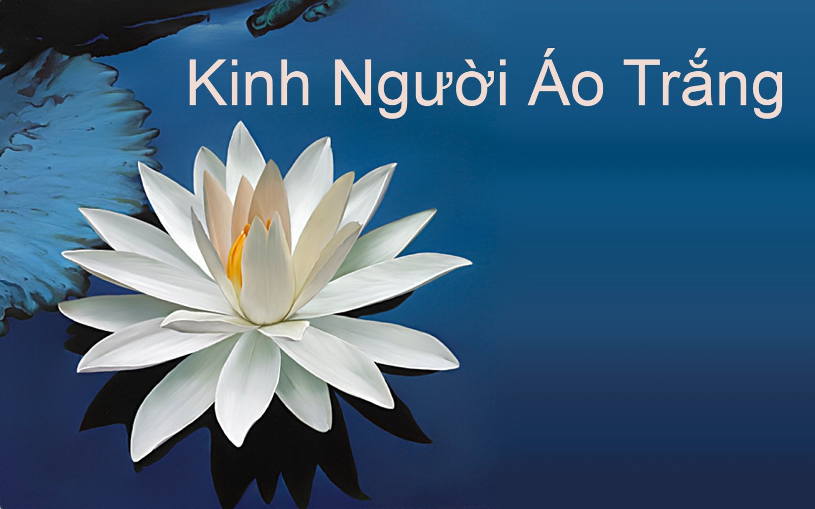 kinh-nguoi-ao-trang-1045 Kinh người áo trắng: Phật dạy phương pháp sống hạnh phúc ngay trong hiện tại 1