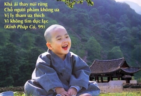 Kinh Pháp cú (Dhammapada) - những câu kệ tuyệt diệu của đạo Phật 2