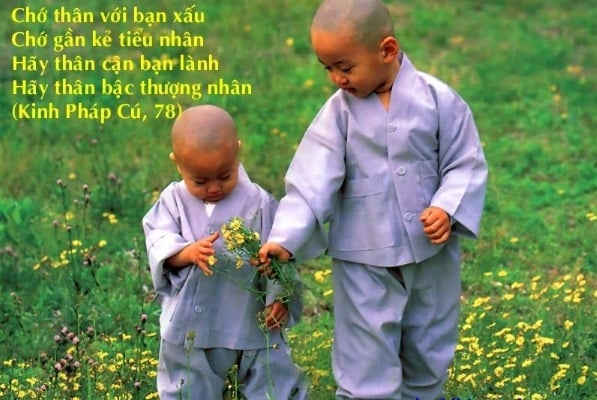 Kinh Pháp cú (Dhammapada) - những câu kệ tuyệt diệu của đạo Phật 1