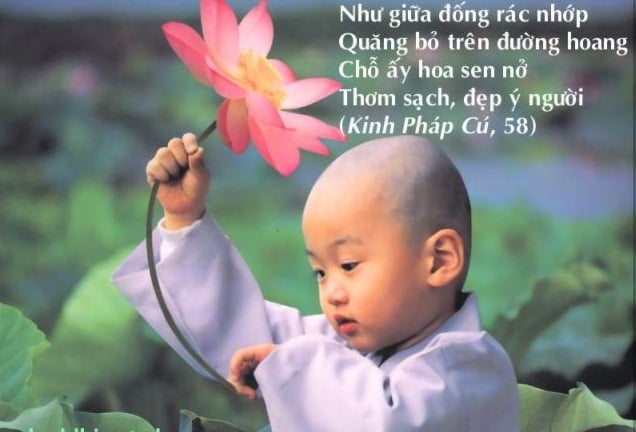 Kinh Pháp cú (Dhammapada) - những câu kệ tuyệt diệu của đạo Phật 3