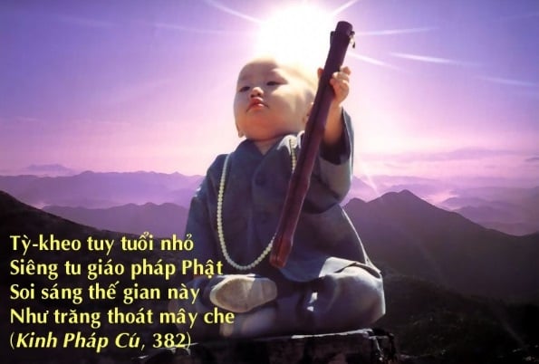 Kinh Pháp cú (Dhammapada) - những câu kệ tuyệt diệu của đạo Phật 5