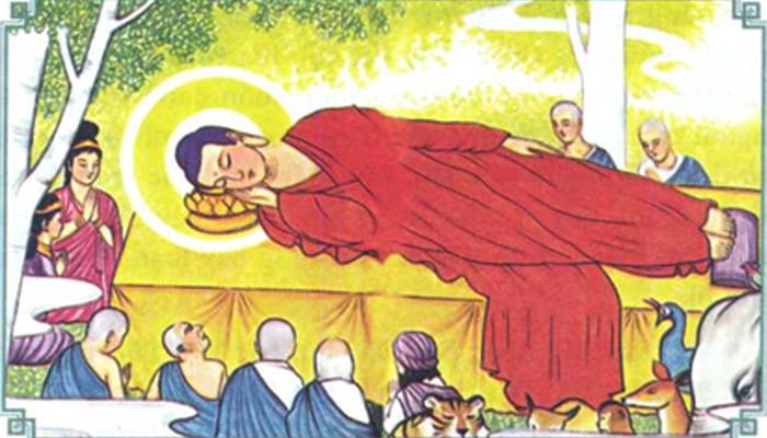 Bữa thọ thực cuối cùng của Đức Phật trước khi Ngài nhập Niết Bàn là món gì? 2