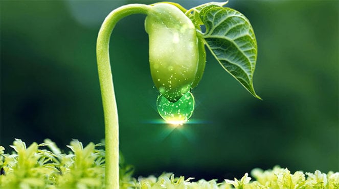 Bốn điều ngay cả Đức Phật cũng không thay đổi được