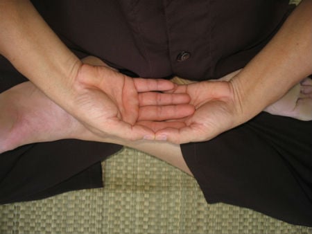 Lửa Tam Muội kỳ diệu qua góc nhìn Phật giáo và khoa học 2