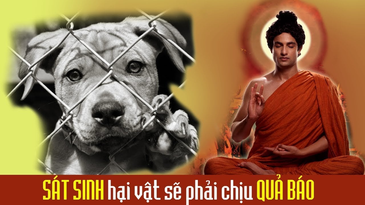 Báo ứng hiện đời: Nhân nào quả nấy 3