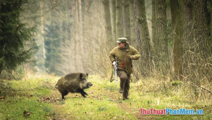 mo thay bi ruot duoi boi mot con dong vat 085455244