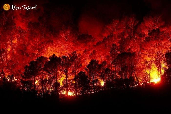 mo thay lua chay rung