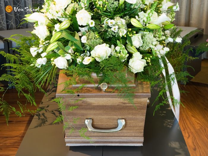 mo thay quan tai bao diem gi